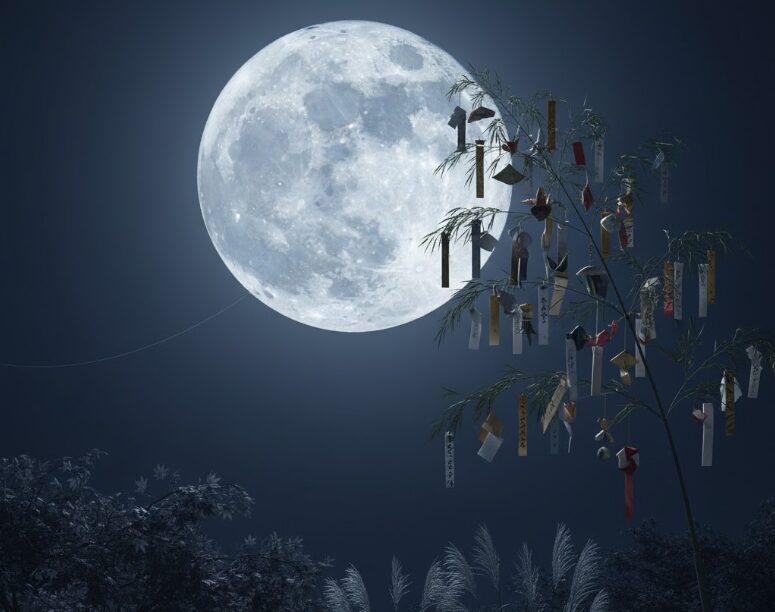 文月から長月の秋の気配と収穫