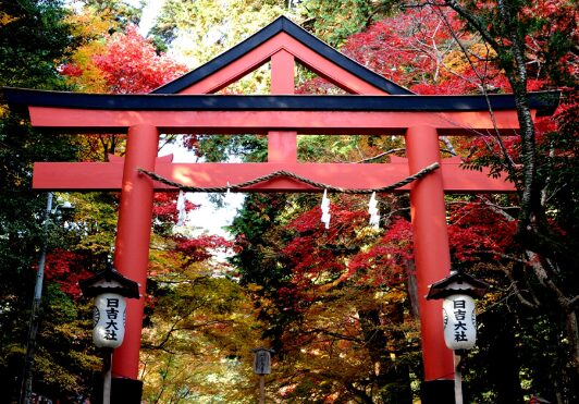 日吉大社のスピリチュアルで不思議な魅力と魔除けの力