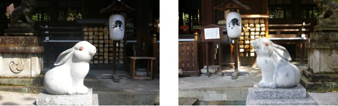岡崎神社との違いや京都のうさぎ神社巡り