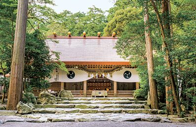 椿大神社での不思議な体験を紐解く導きの力
