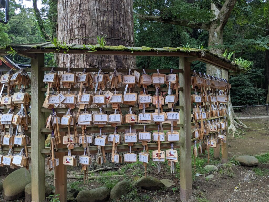 大きな木の周囲に並ぶ絵馬掛けと多数の奉納絵馬