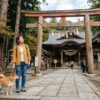 神社で犬連れはいいのか