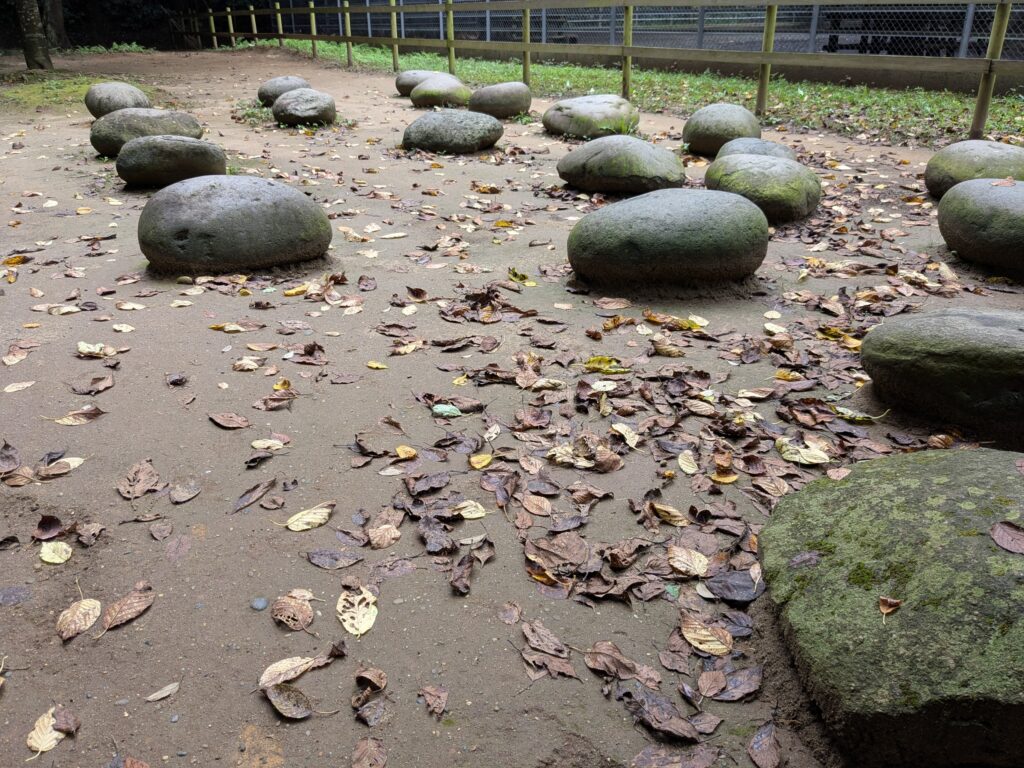 神社境内の森に点在する大小の丸みを帯びた石