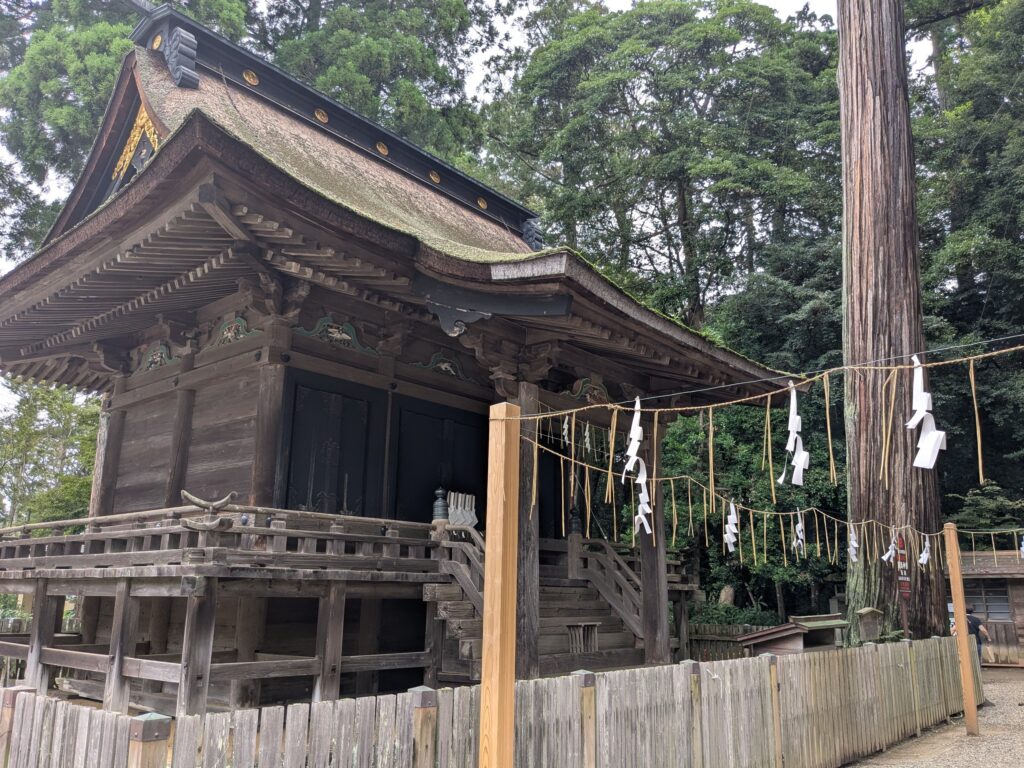 木造社殿のそばで注連縄と紙垂が掛けられた大きな御神木